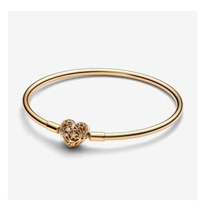 Pandora Celestial Heart Clasp Bangle